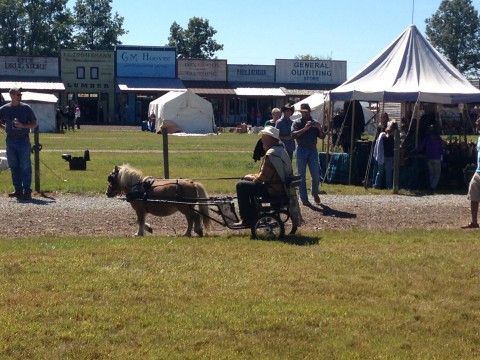 Miniature Buggy