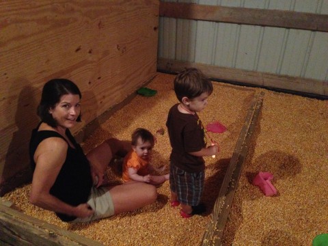 Family Sized Corn Box