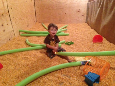 More Corn Box
