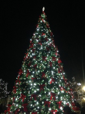 International Tree Lighting