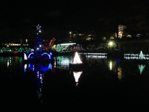 Wild Lights Show at Swam Lake