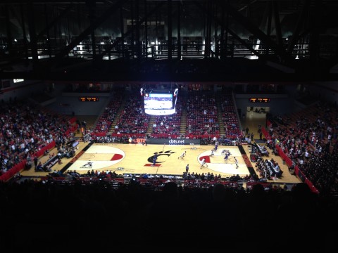 Go Cats!