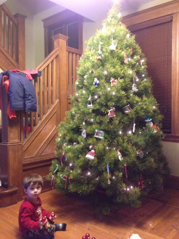 Our Tree