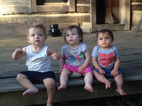 Festival Babies