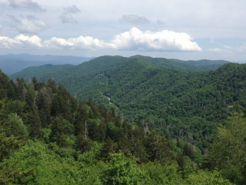 Newfound Gap