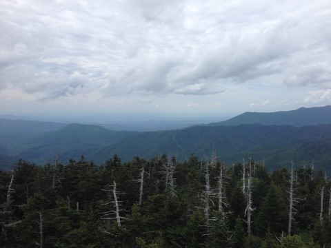 Mount Le Conte