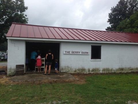 Berry Barn