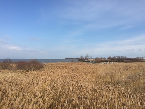 Lake Erie
