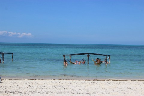 Hammocks