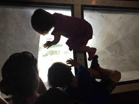 Glass Floor
