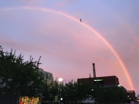 Rainbow over Toronto