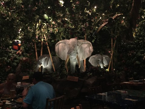Elephants Inside