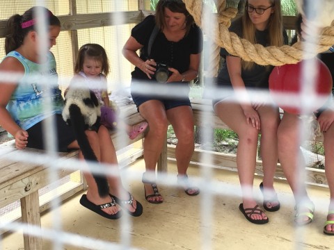 Caged Family