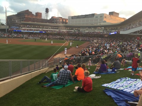 Outfield View