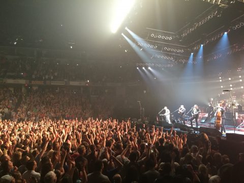 Crowd