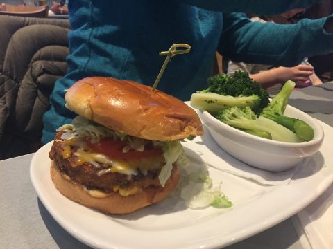 Southwestern Veggie Burger