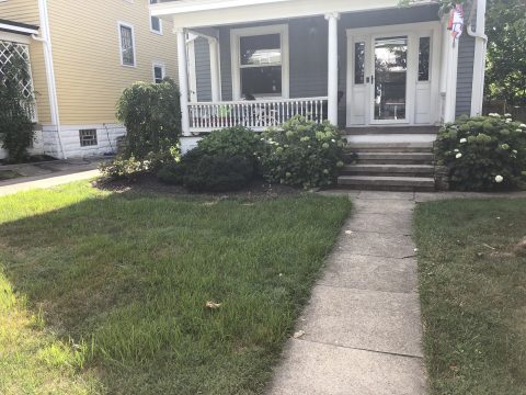 Before Front