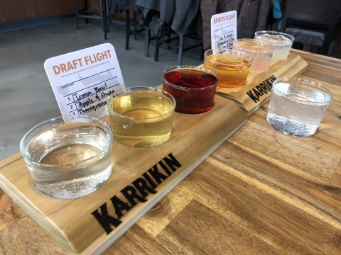 Draft Flight