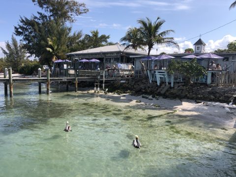 Waterfront